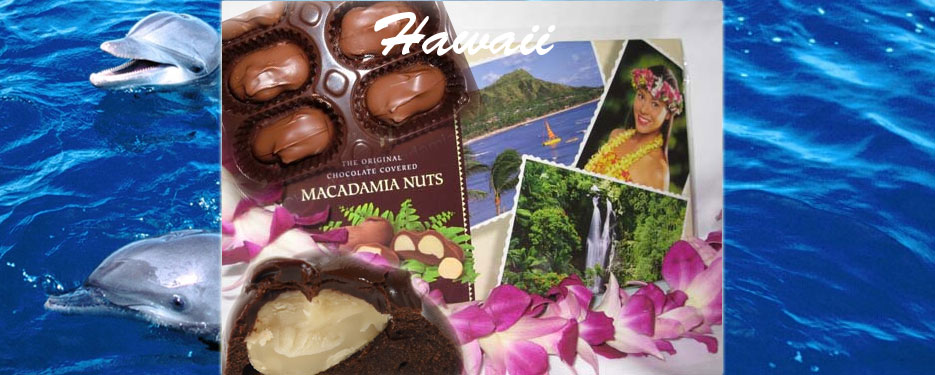 Hawaii chocolate macadamia nuts